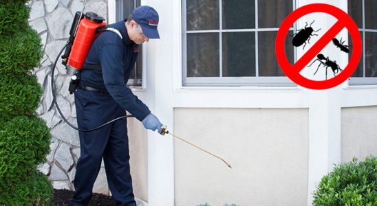 Araklı Gümüşkurt İlaçlama böcek ilaçlama ve haşere kontrolü — ilaclama-tr.com